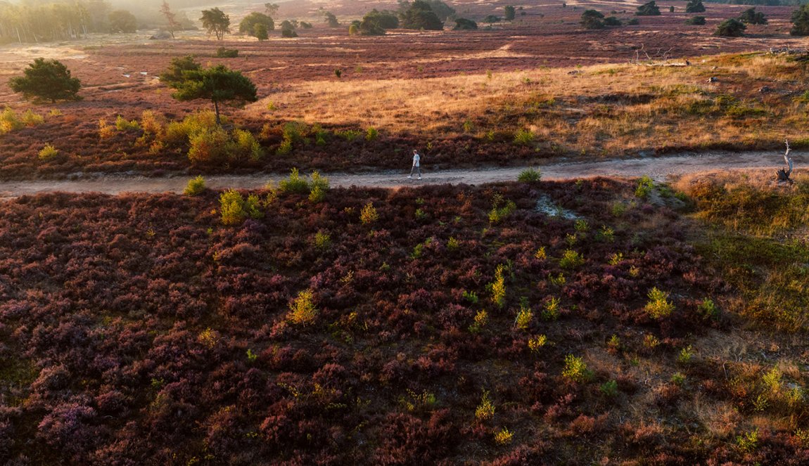 Sallandse Heuvelrug: Unique in Europe - Holland.com